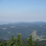 img_1593