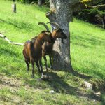 img_3752x