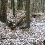 z'Liacht17-10
